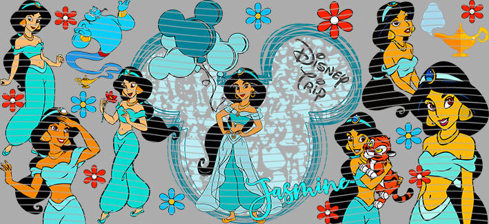 16oz Disney style-D-1214